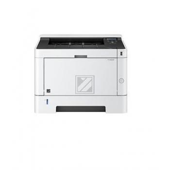 P 4020 DW P 4020 DW