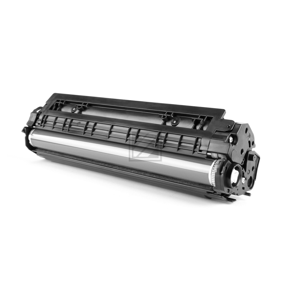 Kyocera Entwickler schwarz (302HN93010, DV-560K)