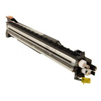 Ricoh Entwicklereinheit gelb (D8093004)