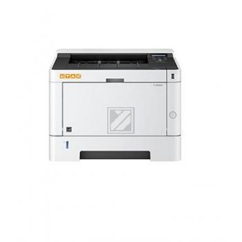 P 4020 DW P 4020 DW