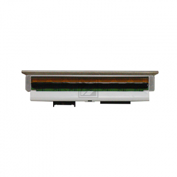 Toshiba Druckkopf (7FM01641000)