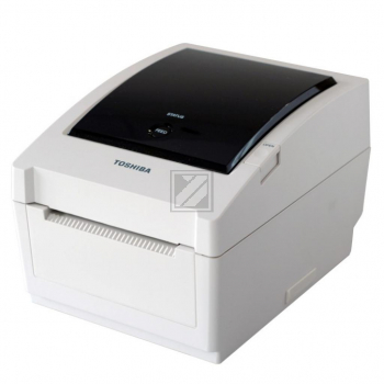 B-EV4T (305 dpi)