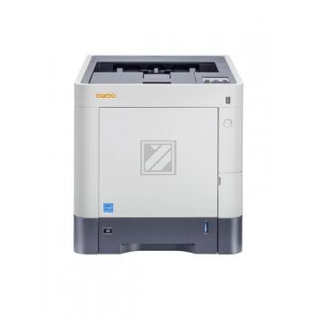 P-C 3061 DN P-C 3061 DN